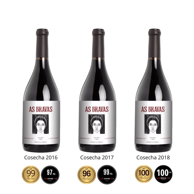 Coleccion Vertical As Bravas Malbec