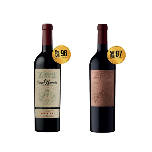 Enzo Bianchi Edicion Anfora – 1 Gran Corte + 1 Gran Malbec “Edición Pallarol’s”