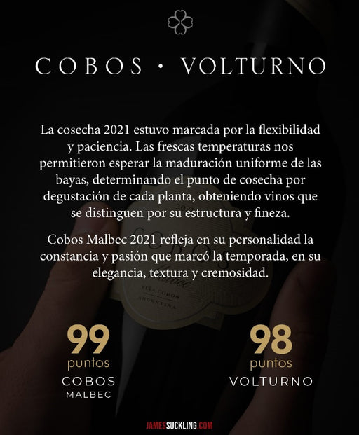 Cobos Volturno 2021 - 98 Pts JS