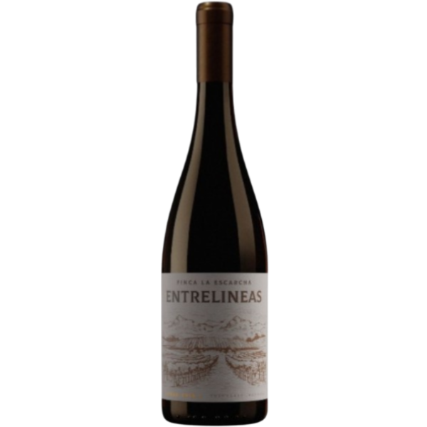 Entrelineas Reserva Syrah
