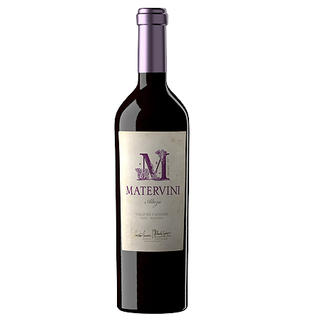 Matervini Alteza Malbec - 95 Pts James Suckling -
