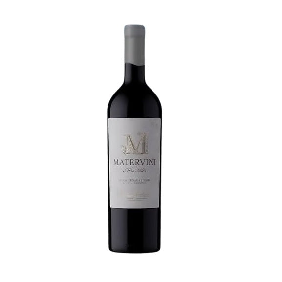 Matervini Mas Allá Malbec - 95 Pts James Suckling -