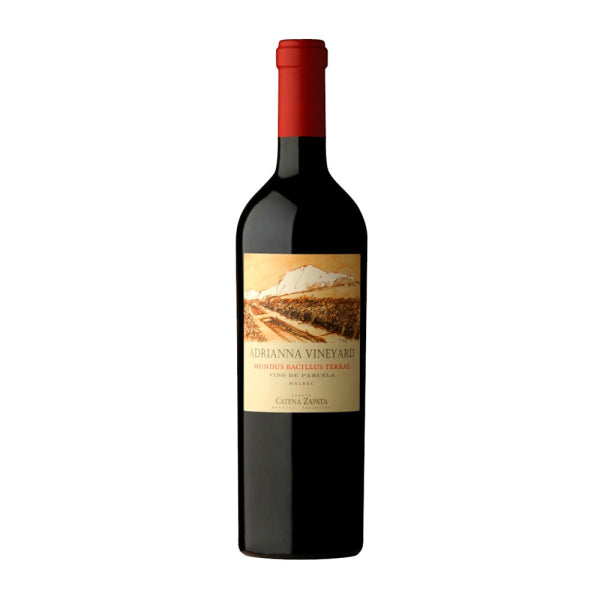 Adrianna Vineyard Mundus Bacillus Terrae Malbec 2011 - 100 Pts